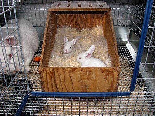 Nesting boxes