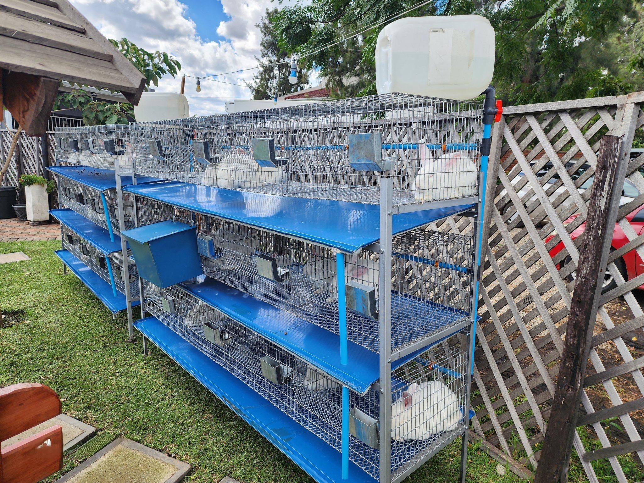 12Sdx Breeders Cage