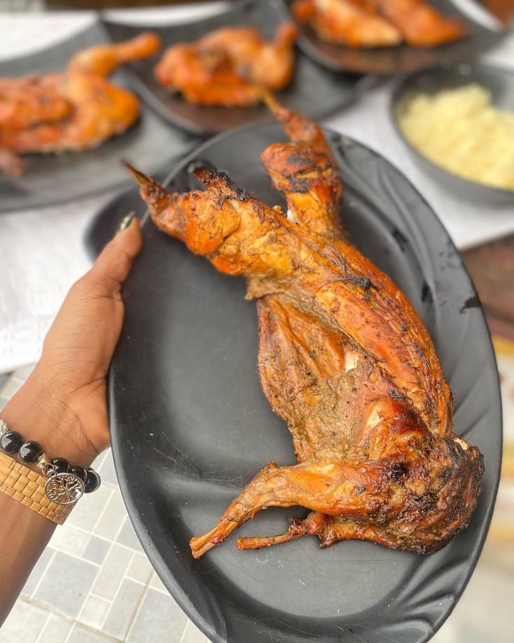 Full Rabbit
